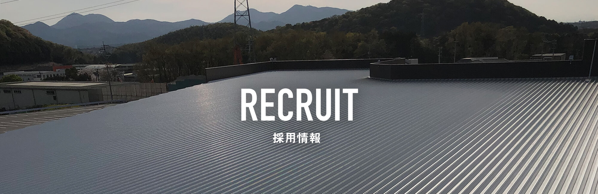 採用情報